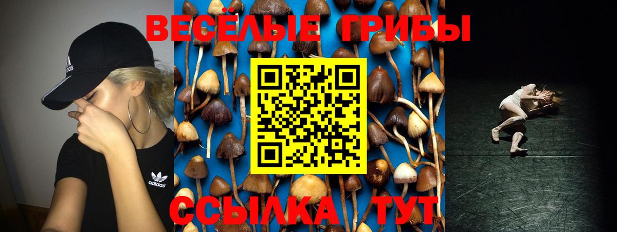 Псилоцибиновые грибы мицелий  Галлюциногенные грибы Cubensis  Домодедово  Вход с VPN 